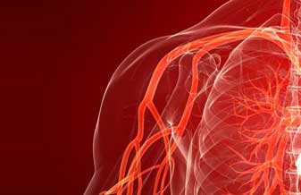 Marco Antonio Soares Munia - Foto 1