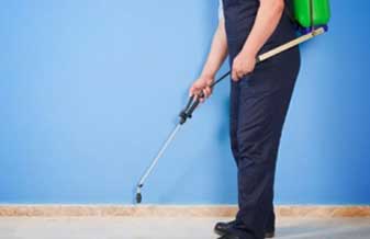 Dedetizadora Alvo - Foto 1