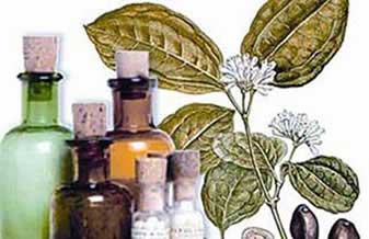 Ephiciência Homeopatia e Manipulação - Foto 1