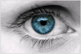 REALMASSUCCI - Foto 1