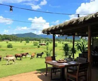 Rancho Macaxeira e Boteco Pois Pois